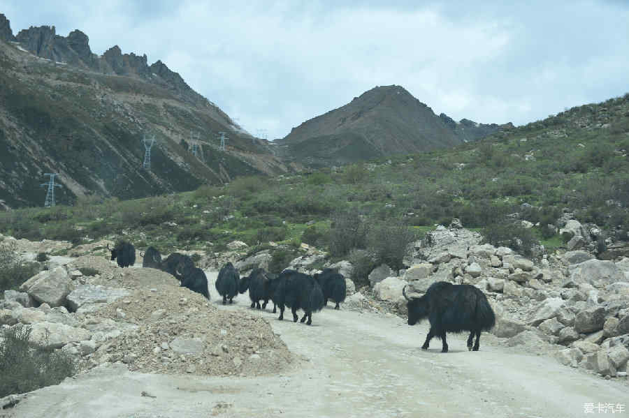 川藏南线最新路况山驴,川藏南线最新路况与山驴的奇妙之旅