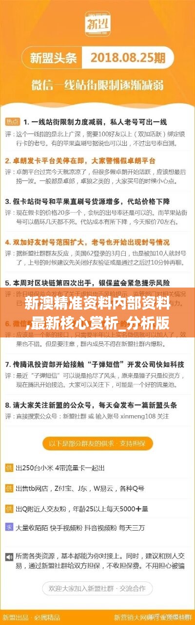 2024新澳最精准资料222期,揭秘2024新澳最精准资料第222期，深度解析与预测