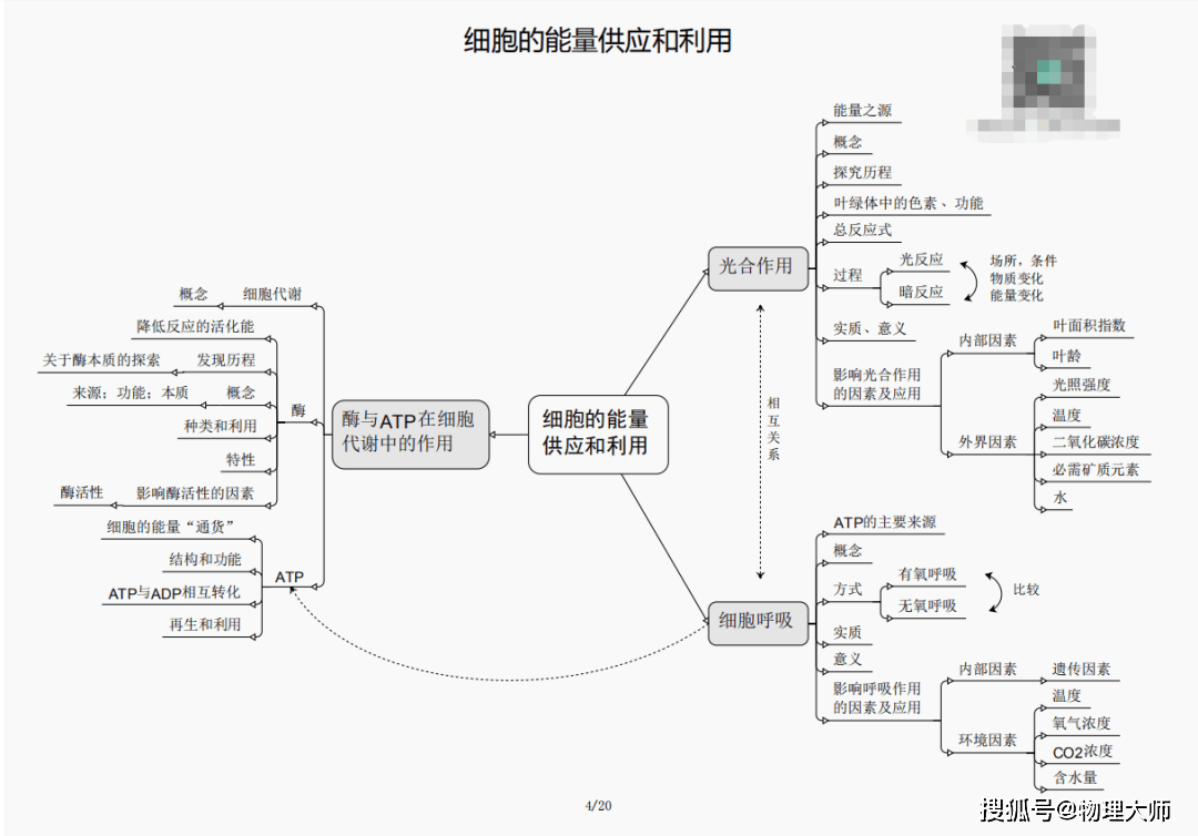 2024年12月30日 第42页