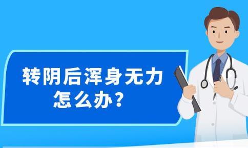 2024年12月31日 第31页