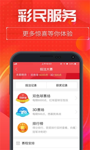 王中王493333中特1肖,王中王493333中特1肖的魅力与神秘