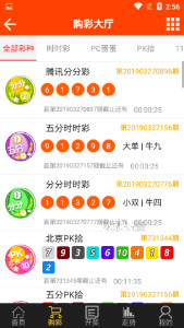 2024澳门王中王100%期期中,探索澳门王中王彩票，期期中与策略分析