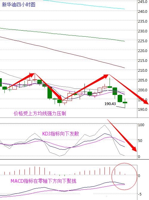 2025年新跑狗图最新版,探索新跑狗图最新版，预测与期待2025年的革新