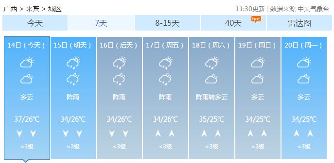 2025澳彩今晚开什么号码,澳彩未来之夜，探索未知的号码世界（2023年预测版）